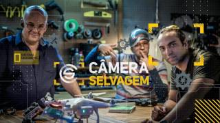 Mix Palestras | Câmera Selvagem | Cristian Dimitrius