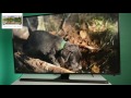 Видео обзор телевизора Samsung UE48JU7000