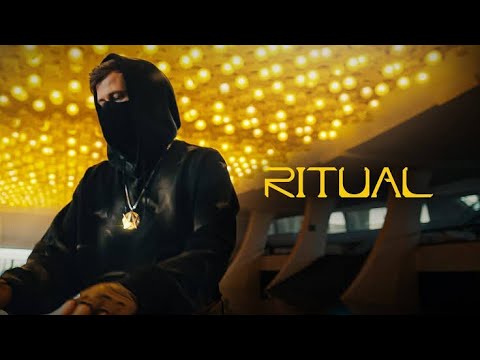 Alan Walker - Ritual ( Unofficial Music Video )