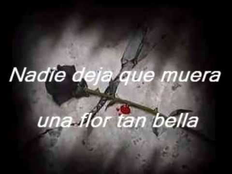 Don Omar - Ayer la Vi