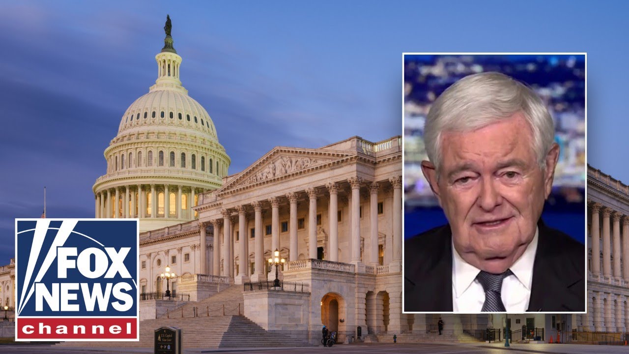 Newt Gingrich: This shutdown may be the 'dumbest strategy' in a while