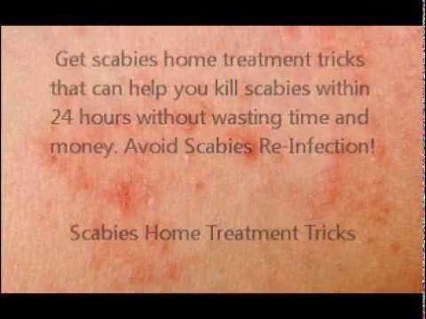 Scabies Rash Information and Guide - Healthy-Skin-Guide.com