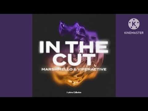 Marshmello x Viperactive - In The Cut (1 hour loop)