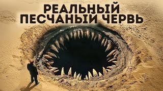 Гобийское чудовище — И другие тайны, которые наконец были раскрыты