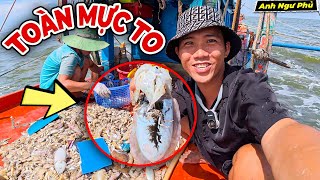 Ngư Dân Trúng Mánh, Mẻ Cào Toàn Mực To | Anh Ngư Phủ