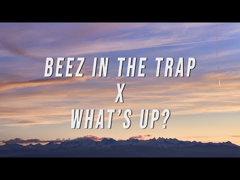 Nicki Minaj, 4 Non Blondes - Beez In The Trap X What’s Up? (TikTok Mashup) [Lyrics]