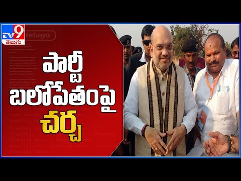 Amit Shah key comments in meeting with AP BJP leaders
