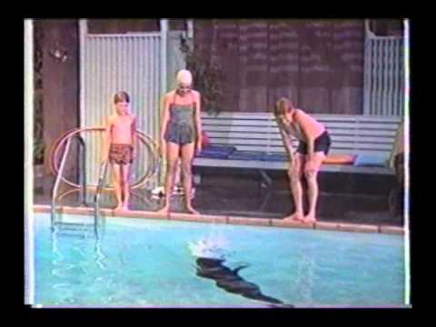 Sammy, the Way-Out Seal'