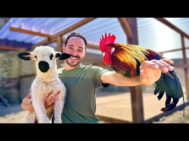 J'ai CONSTRUIT ma PETITE FERME pour être AUTONOME !