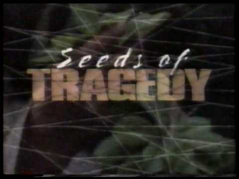 Seeds of Tragedy'