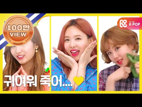 (Weekly Idol EP.304) This Is SHy SHY SHY's SANA