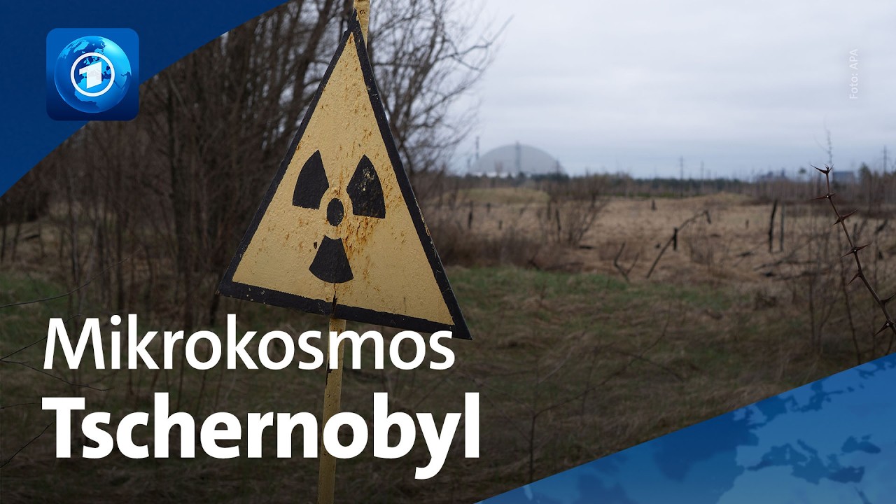 Tschernobyl: 40 Jahre nach dem Unglück