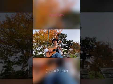 peaches - Justin Bieber 弾き語りカバー short