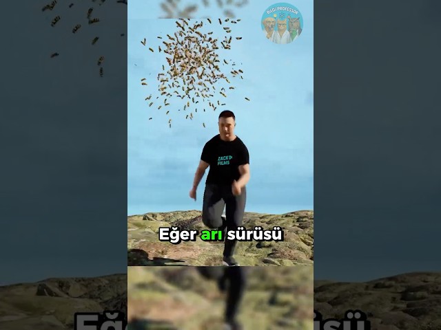 Arılar Kovalarsa Bunu Yapma! 🐝🐝🐝