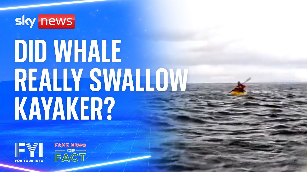 FYI: Did a whale really swallow a kayaker?