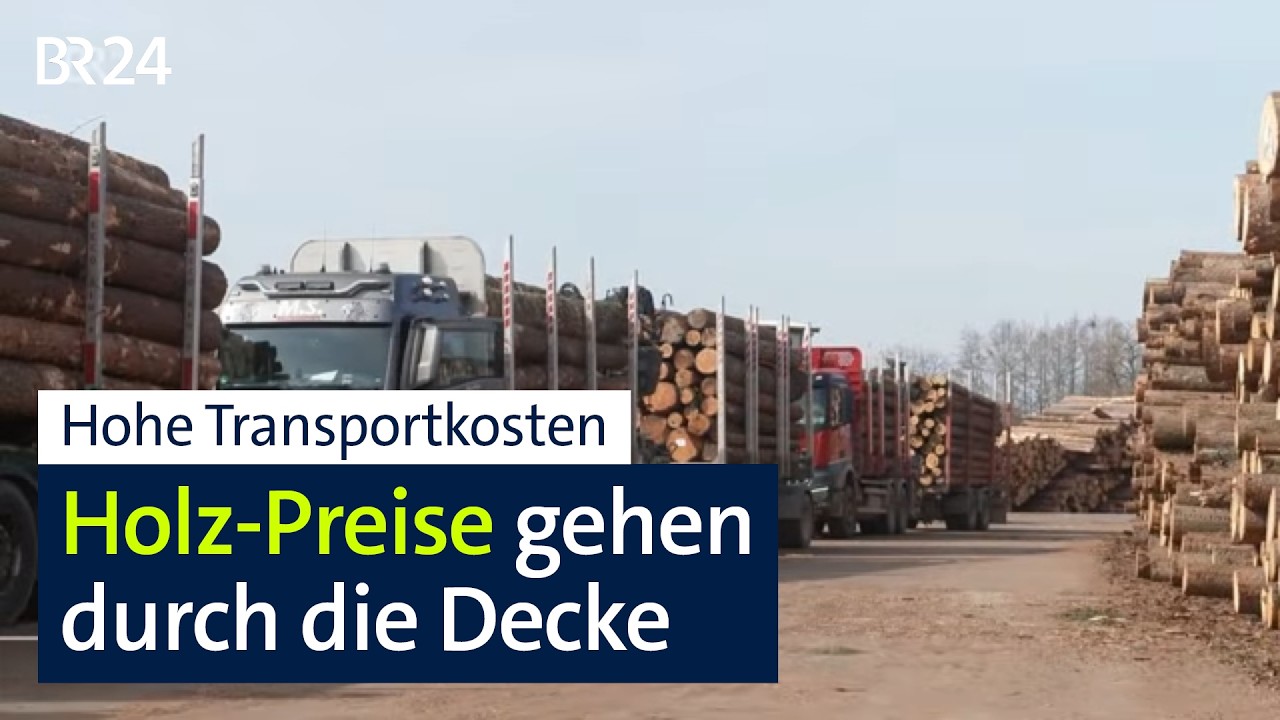 Kiefer, Fichte und Co.: Holz-Preise auf Rekordhoch | BR24