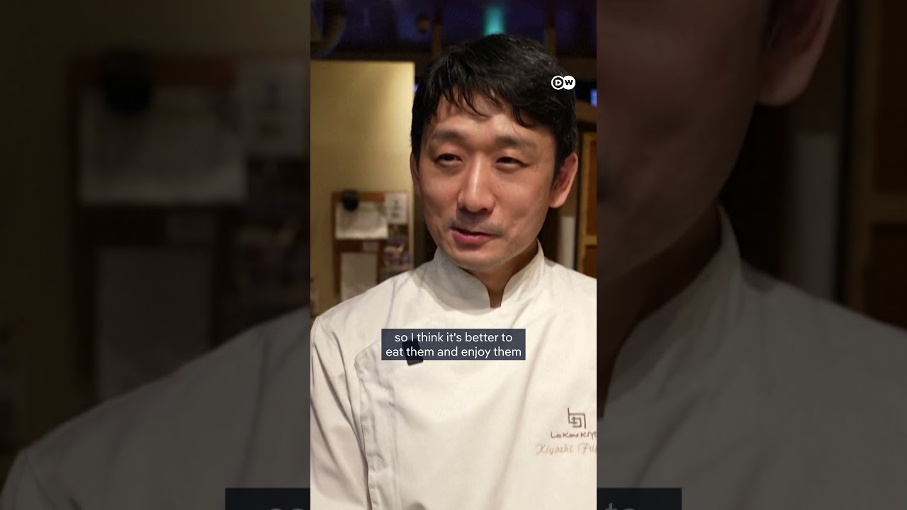 Japan's deadly bear crisis sparks culinary trend | DW News