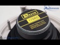 Встраиваемая акустика Davis Acoustics 170 ro
