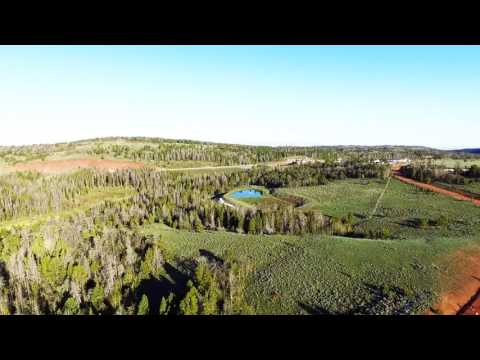 Race Video