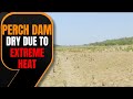 Dams Go Dry, Killer Heat Strikes wildlife in Mohali | News9