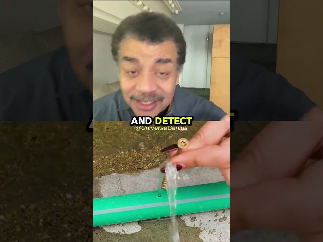 Why Do Dogs Sniff Butts So Closely? 🤔 w/ Neil deGrasse Tyson