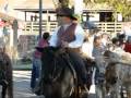 Fort Worth Historic Stockyards, TX, US - Pictures