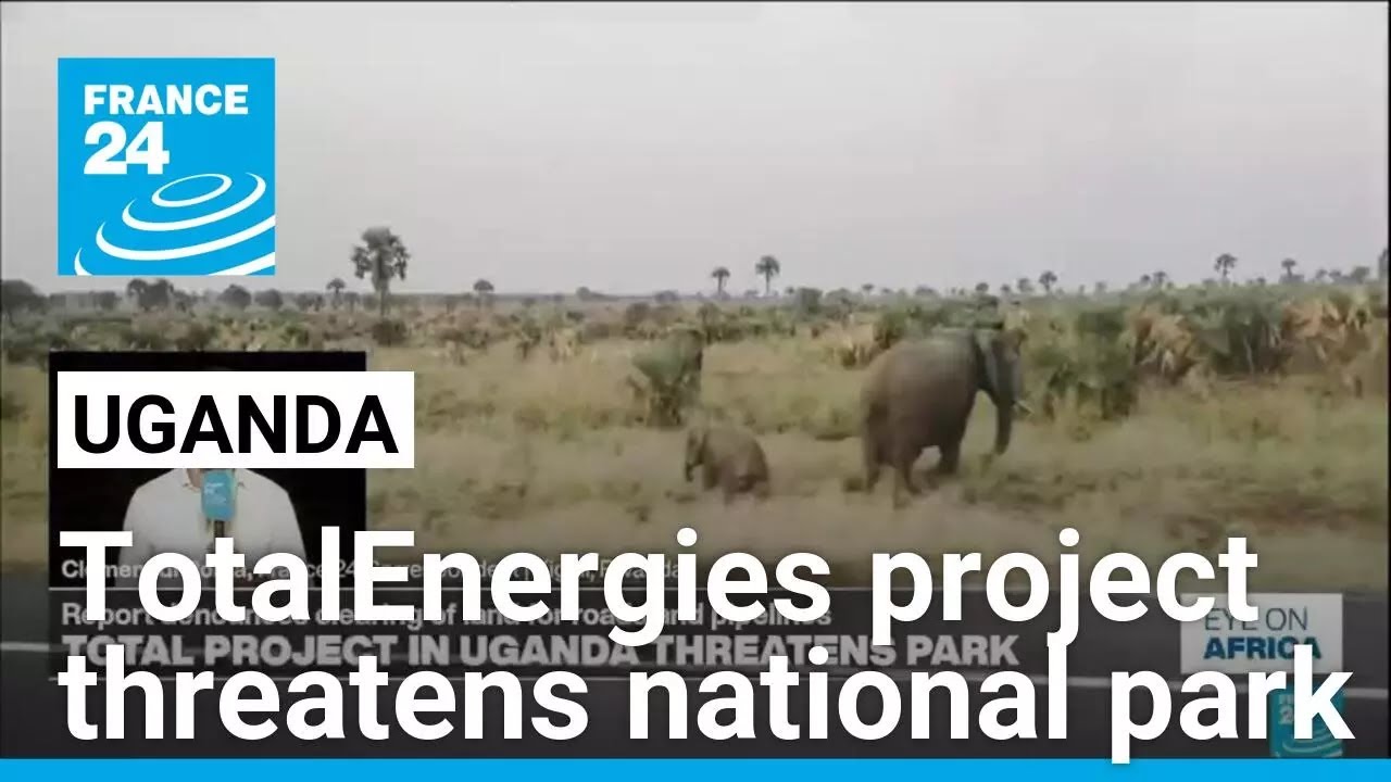 Report says TotalEnergies Uganda project threatens national park • FRANCE 24 English
