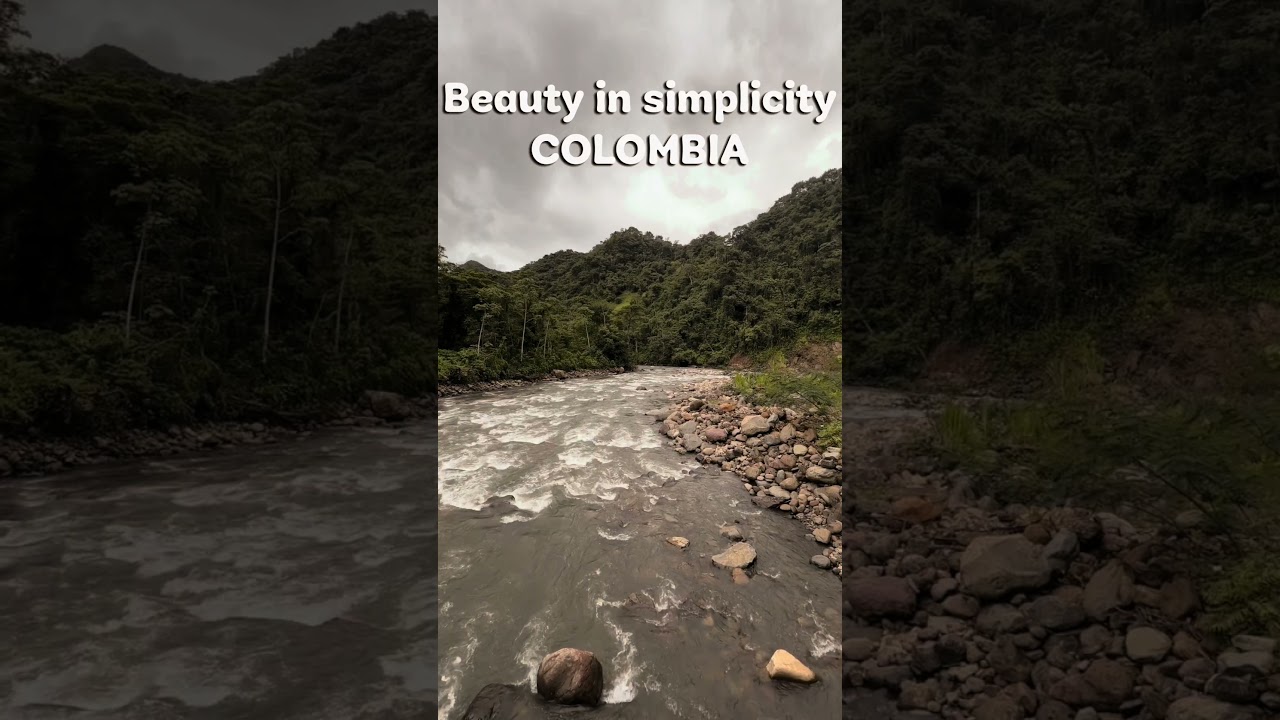 la belleza de Colombia #bogotabirding