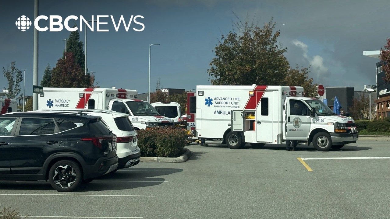 2 dead, 2 injured after driver hits pedestrians outside B.C. mall