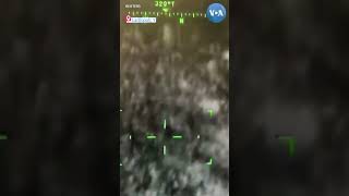 Sư tử xổng chuồng “dạo chơi” trên đường phố Ý | VOA Tiếng Việt