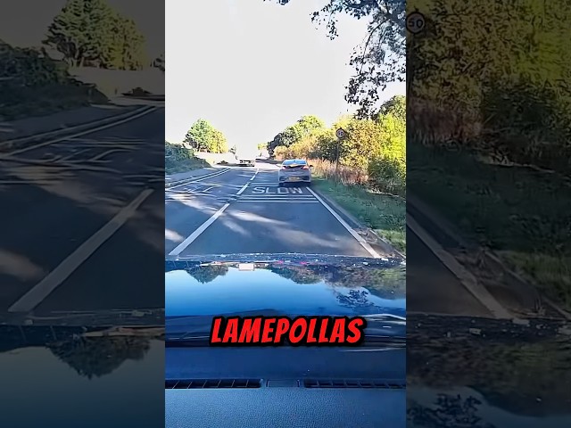 Karma instantáneo para un conductor que se creía el rey de la carretera