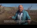 Northern Israeli farmers grapple with field challenges amid tensions on Lebanon border  - 02:58 min - News - Video