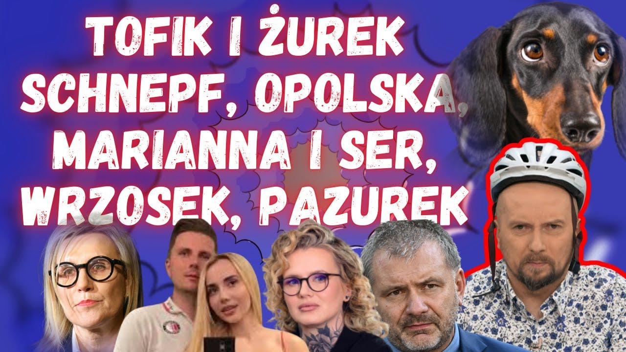 Pies Żurka i tajemniczy klocek. Żarty Wrzosek. Marianna straciła ser(ce) | Codziennie Burza