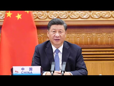 President Xi calls for joint efforts in fighting COVID-19 and reviving global economy