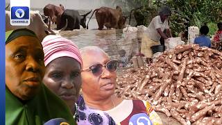 Women Bear Brunt As Climate Changes Deepens Farmer–Herder Conflicts Over Scarce Resources |Earthfile