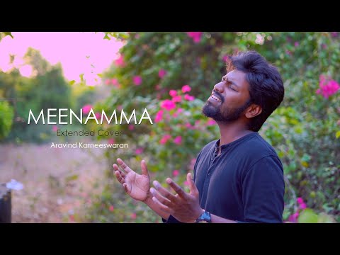 Upload mp3 to YouTube and audio cutter for Meenamma Extended cover | Aasai | Aravind Karneeswaran | Deva download from Youtube