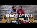 Mp3 تحميل Shape Of You Ed Sheeran Oud Cover By Ahmed Alshaiba