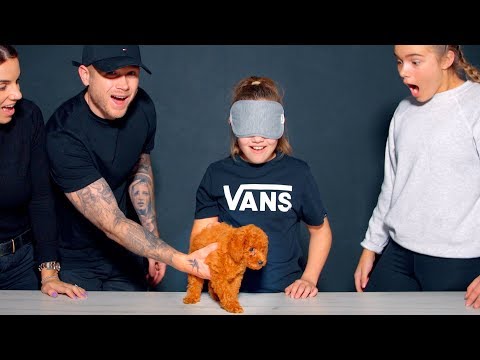 We SURPRISED her with a PUPPY! (EMOTIONAL!)