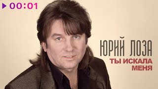 Юрий Лоза — Ты искала меня | Official Audio | 2025