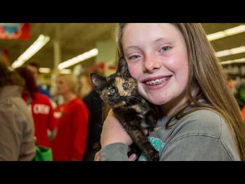 The Lifesaving Awards also celebrates the Petco Foundation’s 20-year commitment to saving animal lives. The Lifesaving Awards also celebrates the Petco Foundation’s 20-year commitment to saving animal lives.