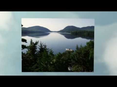 Property video