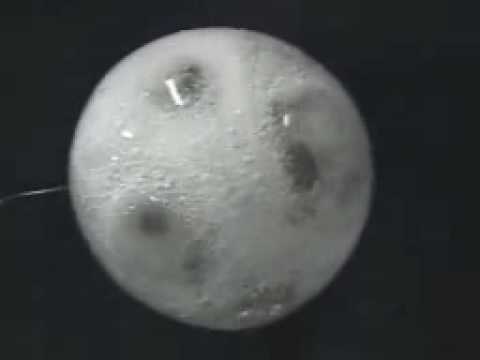 Alka-Seltzer added to spherical water drop in microgravity
