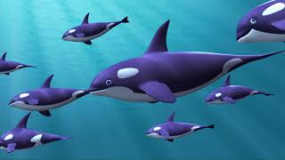 Potpaj sa Olly - Velrybie volanie