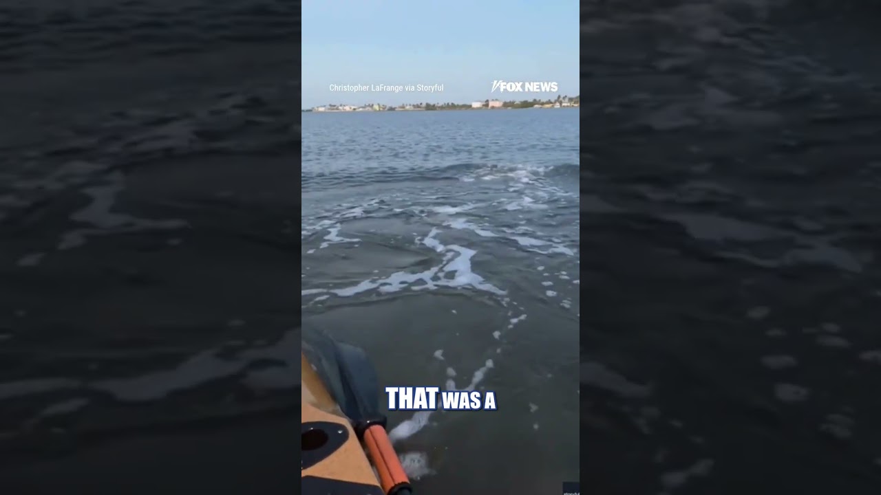 WATCH: MASSIVE bull shark ROCKS kayaker #shorts #viral #ocean