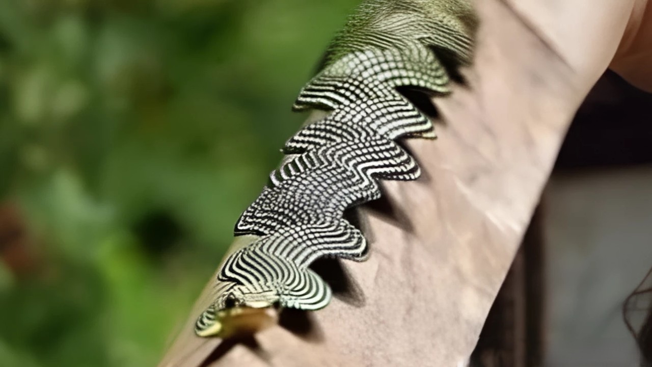 Rare Snakes So Beautiful, You Won't Believe They're Real!