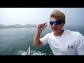 Great white sharks are going north and alarming beachgoers  - 01:32 min - News - Video