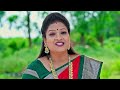 ఈ కుటుంబం అంతా ఏం కావాలి రా ? | Mithai Kottu Chittemma | Full Ep 749 | Zee Telugu  - 21:09 min - News - Video