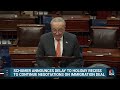 Schumer delays Senate holiday recess to work on immigration deal  - 02:17 min - News - Video