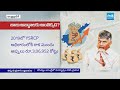 AP Finance Minister Comments About Debts | Chandrababu Fake Propaganda On YS Jagan | @SakshiTV  - 02:55 min - News - Video