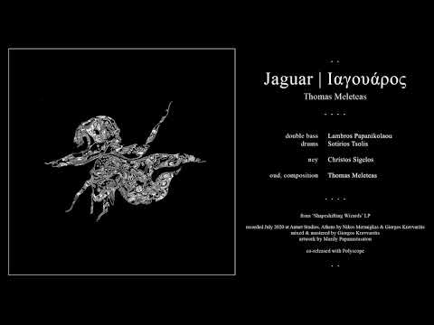 Thomas Meleteas - Jaguar